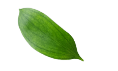 پس زمینه برای سایت ماساژ